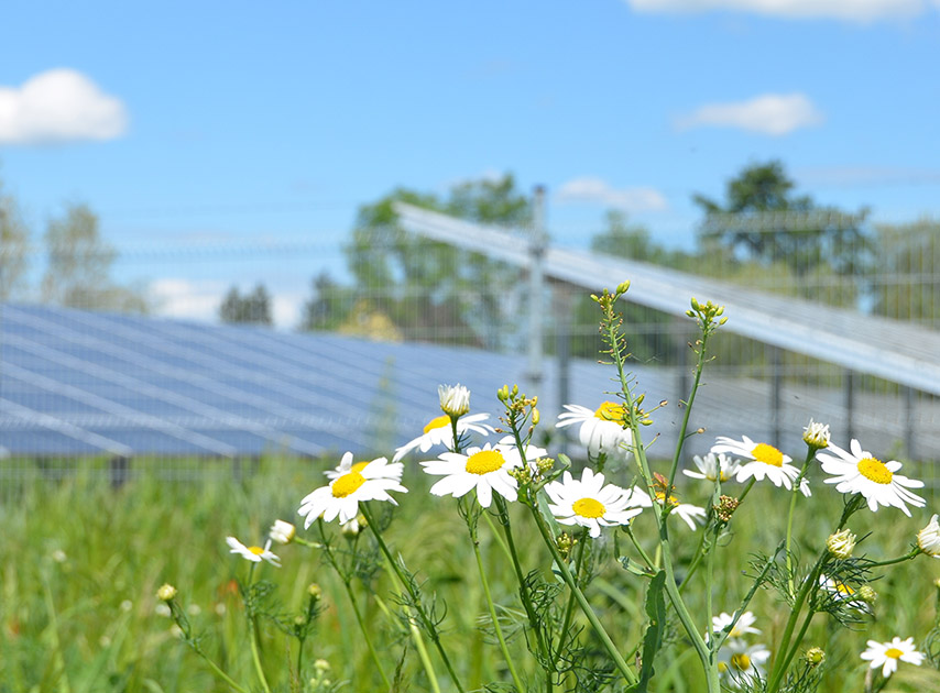 Referenzen Wind- und Solarparks