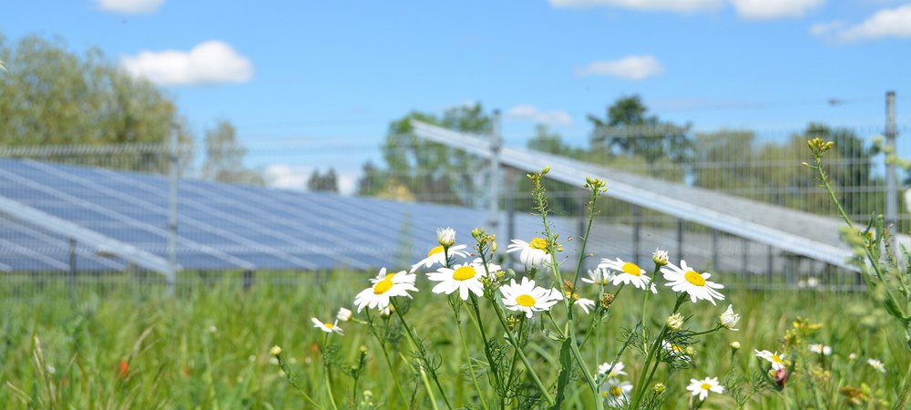 Referenzen Wind- und Solarparks