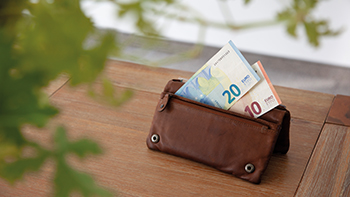 30€ Guthaben werden mit Ihrer nächsten NATURSTROM-Jahresabrechnung verrechnet.