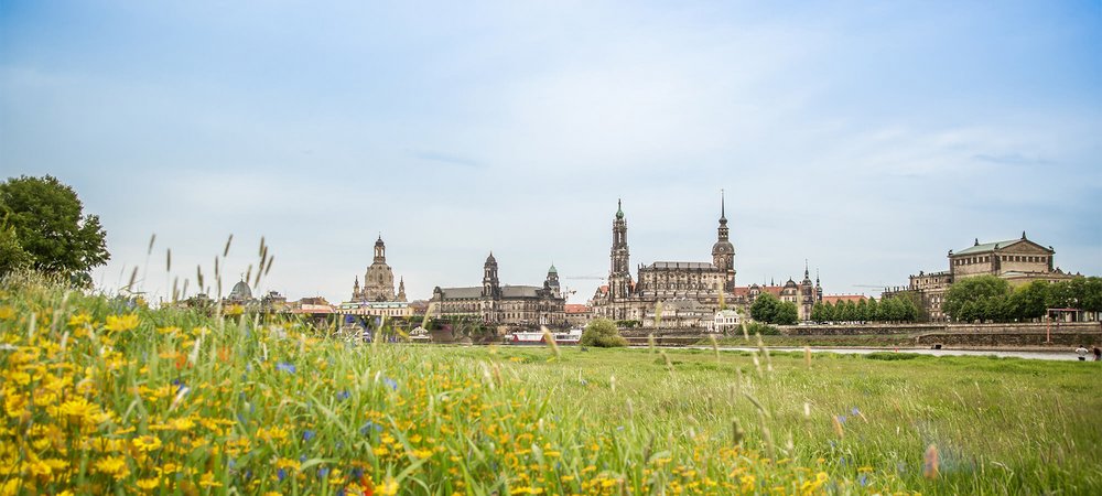 Ökostrom in Dresden von Naturstrom