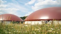 Biogas im Aufwind – 30.000 Kundinnen und Kunden bei NATURSTRO