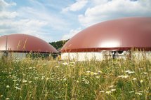 Biogas im Aufwind – 30.000 Kundinnen und Kunden bei NATURSTRO