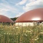 NATURSTROM-Biogasanlage Hallerndorf