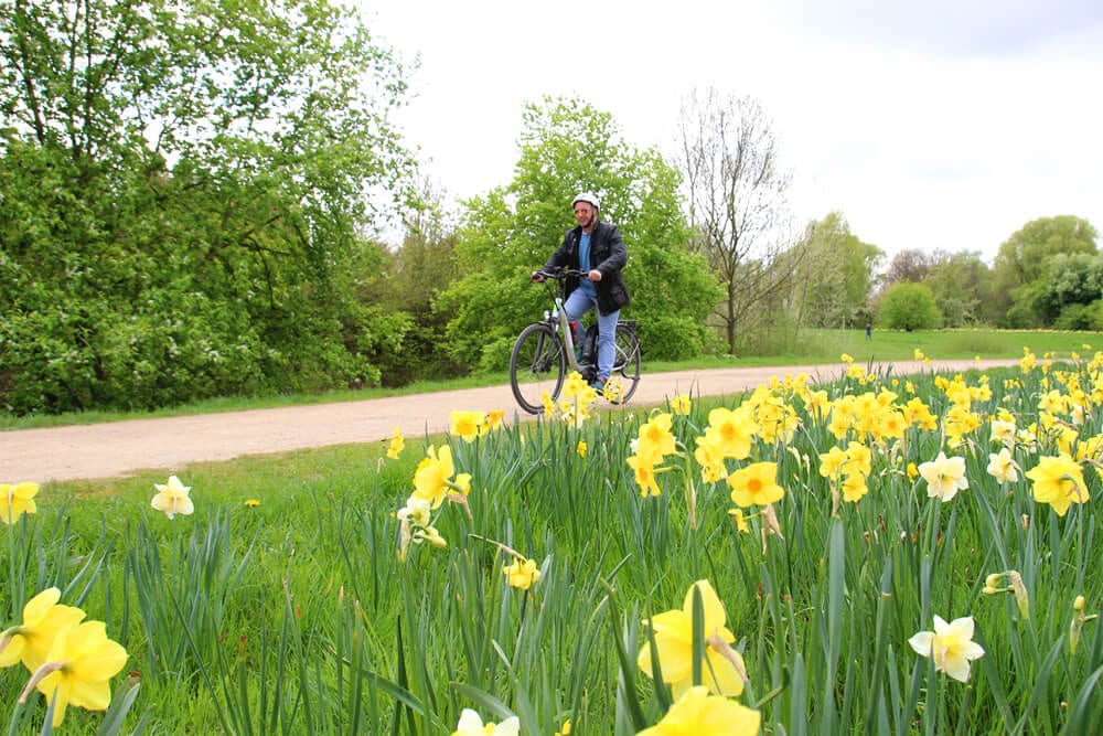 Fahrradfahrer mit Frühlingswiese