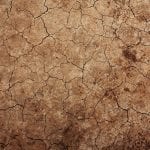 Dürre in Chile - und beim Weltklimagipfel