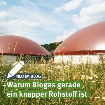 Biogas knapp