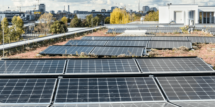 NATURSTROM-Solargründach Mieterstrom Haasestraße