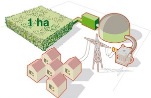 Biogas: einfach zu speichern und wetterunabhängig verfügbar