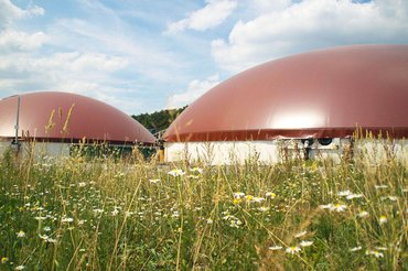 Biogas-Anlage in Hallerndorf